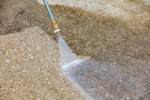 Best House Exterior Washing  in Minier, IL