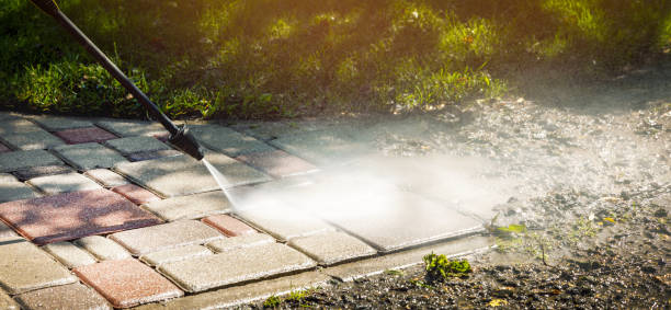 Best Roof Washing  in Minier, IL
