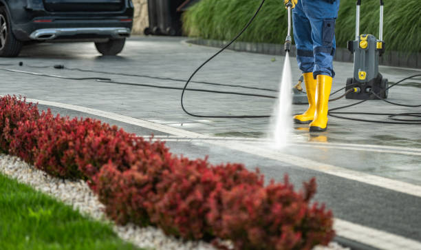 Boat and Dock Cleaning in Minier, IL